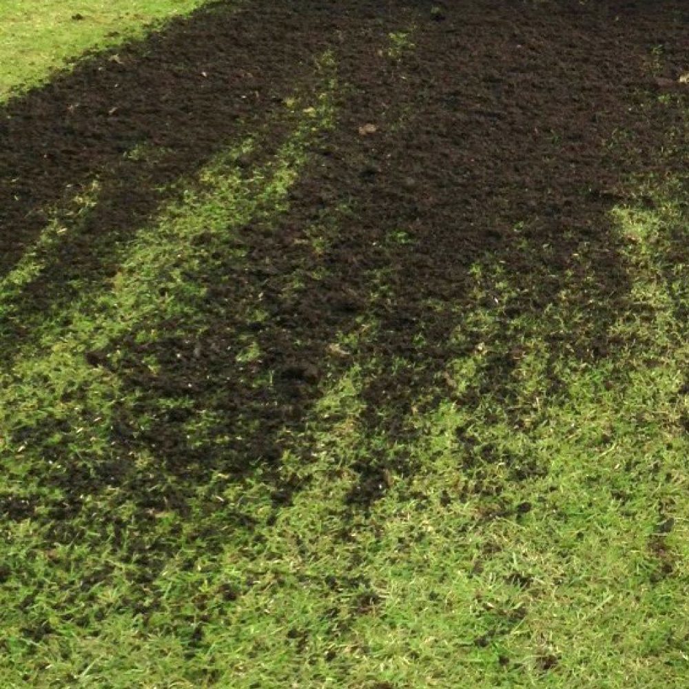 Lip Prevention Groundskeeper University